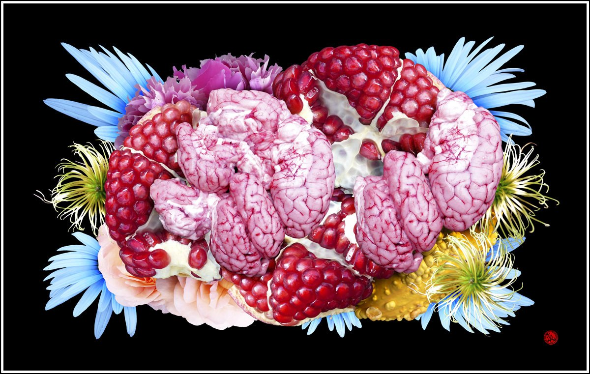 Granatapfel Blumen Blüten Gehirn