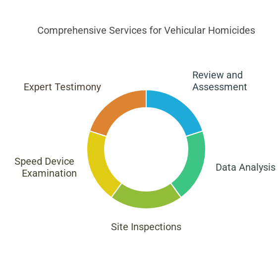 What a vehicular homicide expert can do for your court case  Vehicular homicide accident expert services for your court case