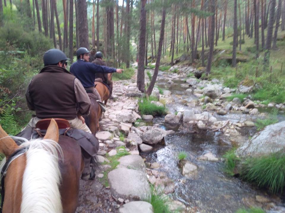 equestrian trail Madrid