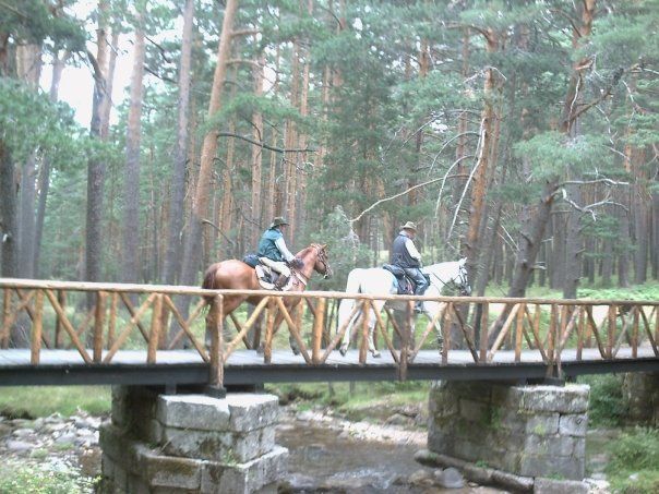 horse riding trips madrid