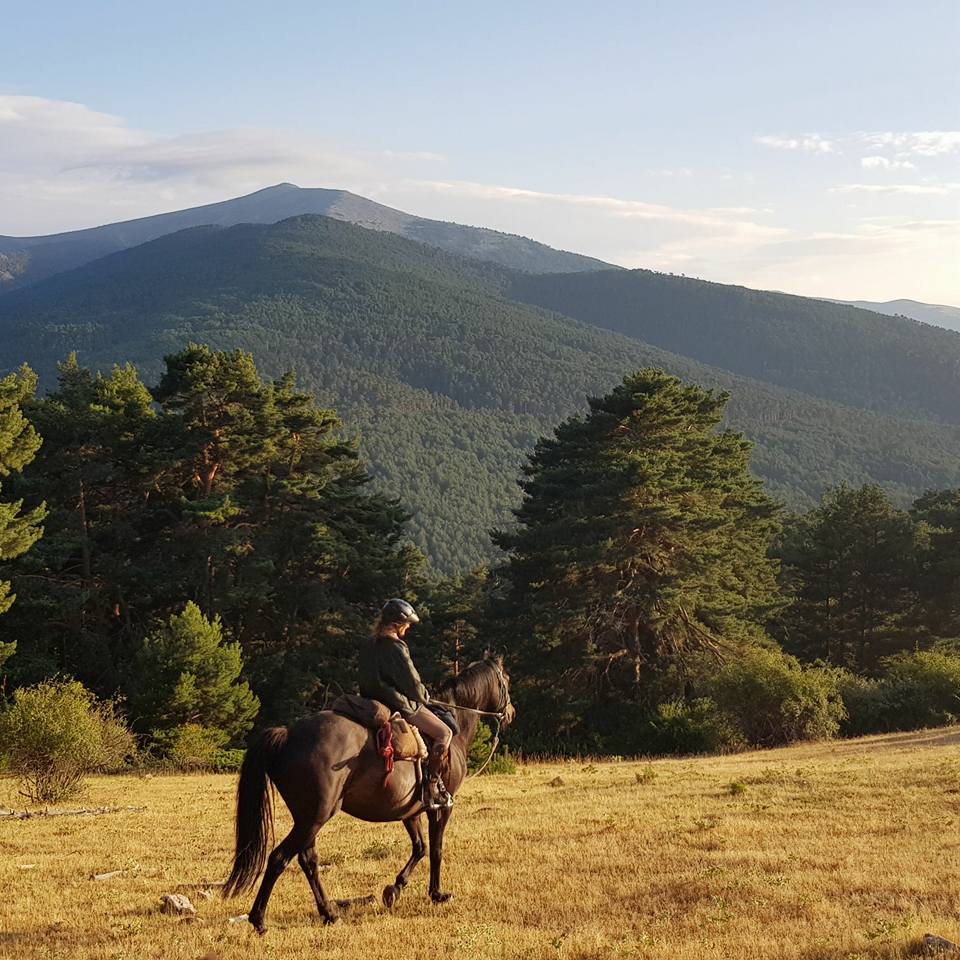 Ruta  a caballo las Pradera (segovia)