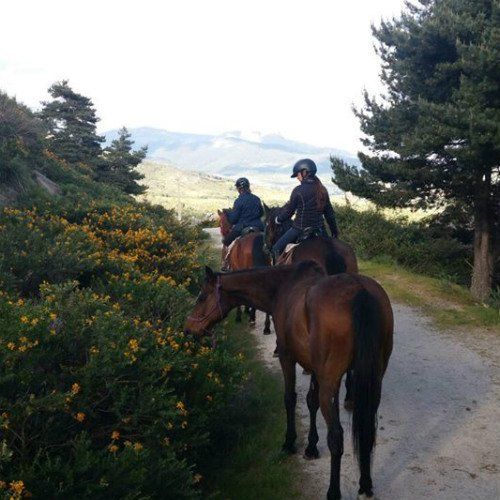 Paseo a caballo Madrid