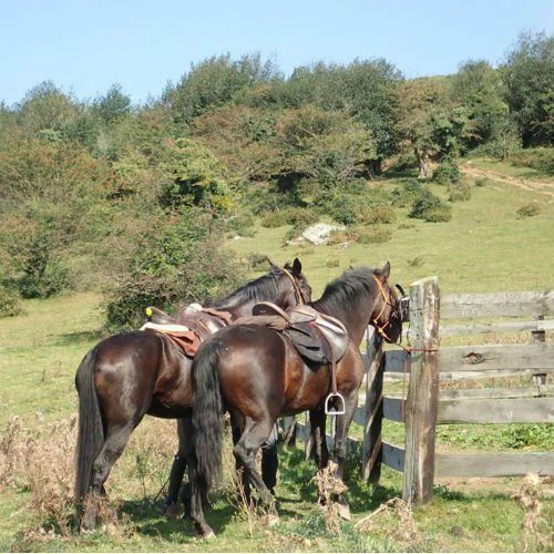 ruta a caballo cabuerniga