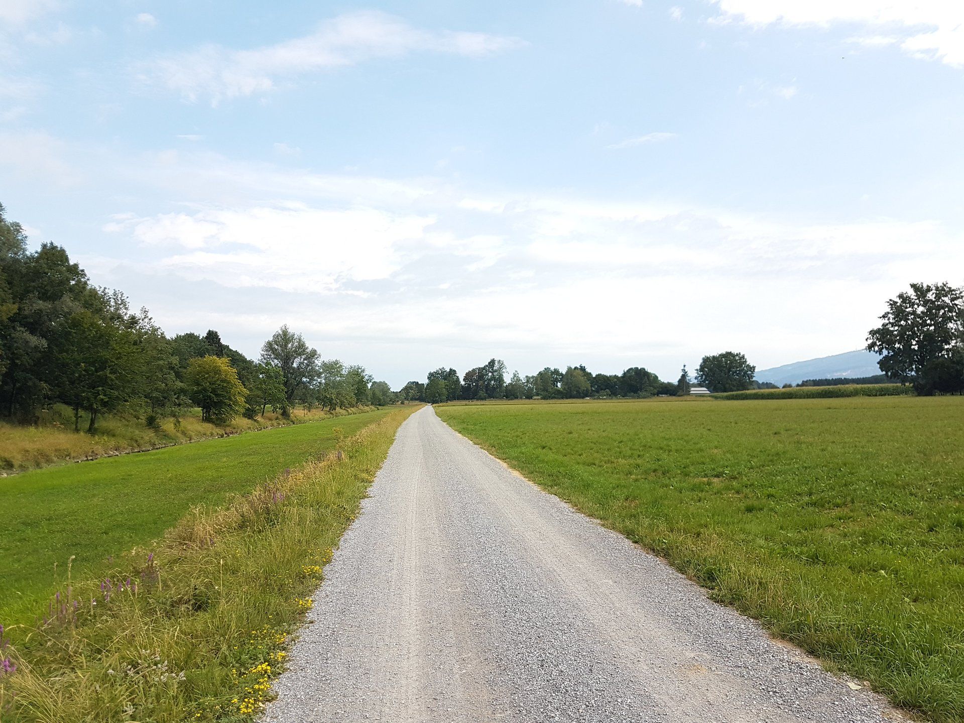 Gerade Wege sind ohne Abwechslung langweilig. Foto: August Aust