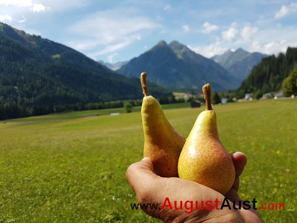 1000 km quer durch Österreich, 7. Tag. Von Obergiblen nach Imst.