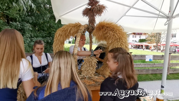 Binden einer Erntekrone. Foto: August Aust Binden einer Erntekrone. Foto: August Aust