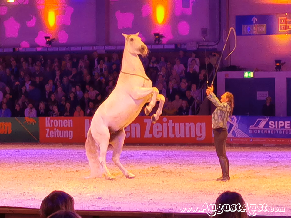 Nacht der Pferde. Compagnie Impulsion. Foto: August Aust Nacht der Pferde. Compagnie Impulsion. Foto: August Aust