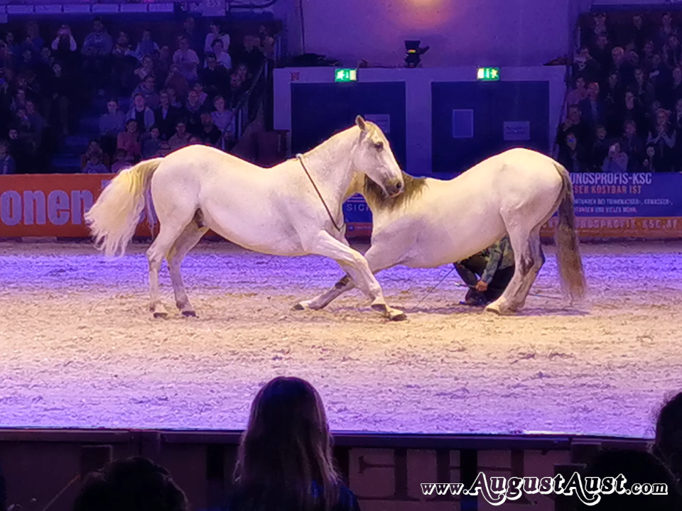 Nacht der Pferde. Compagnie Impulsion. Foto: August Aust Nacht der Pferde. Compagnie Impulsion. Foto: August Aust