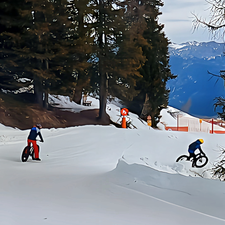 Fahrtechnik beim Fatbike-Downhill, Foto: August Aust Fahrtechnik beim Fatbike-Downhill, Foto: August Aust