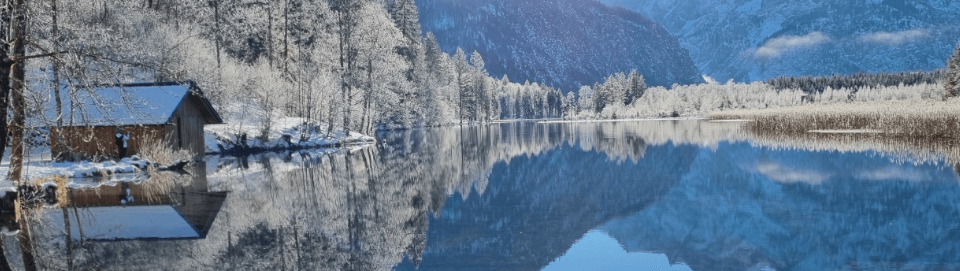 Almsee, Nordufer. Foto August Aust Almsee, Nordufer. Foto August Aust