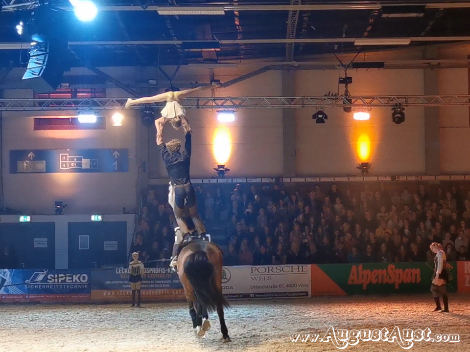 Nacht der Pferde. Voltigierverein Ingelsberg. Foto: August Aust Nacht der Pferde. Voltigierverein Ingelsberg. Foto: August Aust