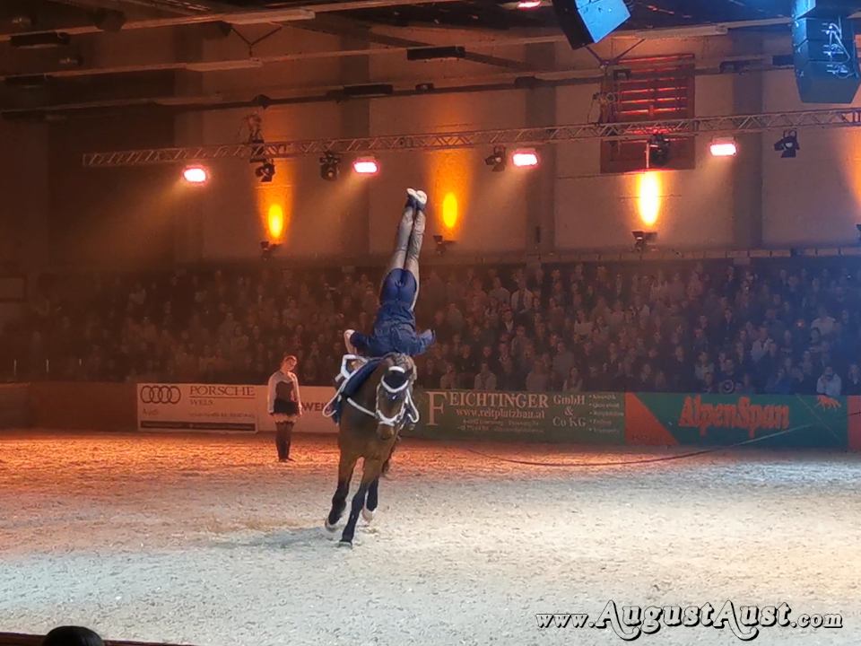 Nacht der Pferde. Voltigierverein Ingelsberg. Foto: August Aust Nacht der Pferde. Voltigierverein Ingelsberg. Foto: August Aust