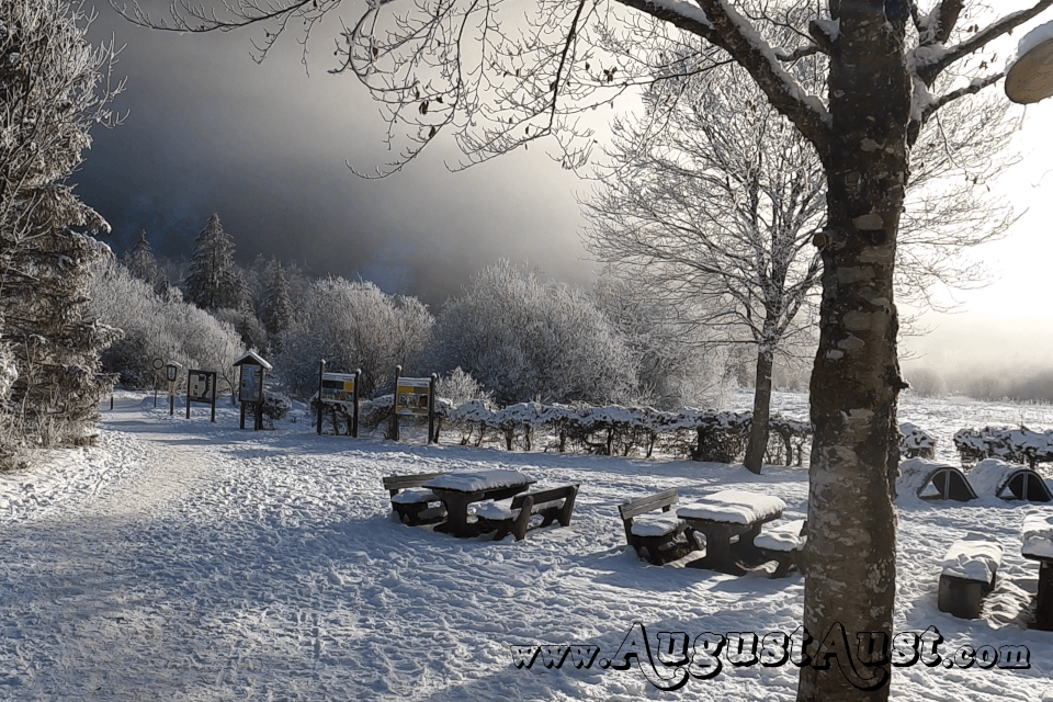 Der Almsee im Winter. Foto August Aust Der Almsee im Winter. Foto August Aust