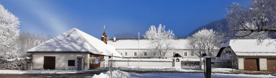 Restaurant Seehaus am Almsee. Foto August Aust Restaurant Seehaus am Almsee. Foto August Aust