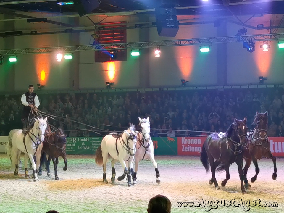 Nacht der Pferde. Compagnie Impulsion. Foto: August Aust Nacht der Pferde. Compagnie Impulsion. Foto: August Aust
