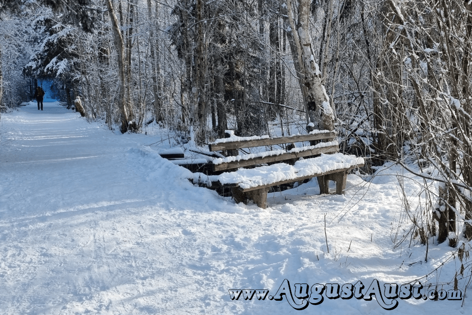 Almsee - der Rundwanderweg. Foto August Aust Almsee - der Rundwanderweg. Foto August Aust