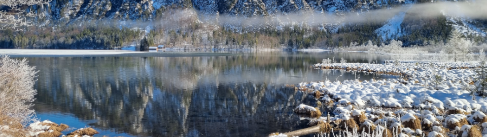 Almsee, Lebensräume für viele Tierarten. Foto August Aust Almsee, Lebensräume für viele Tierarten. Foto August Aust