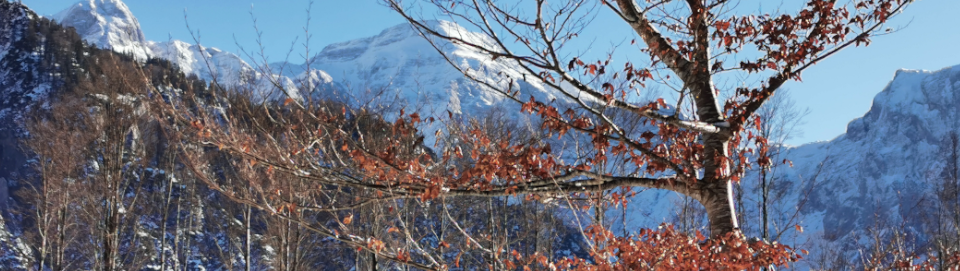 Totes Gebirge. Foto August Aust Totes Gebirge. Foto August Aust