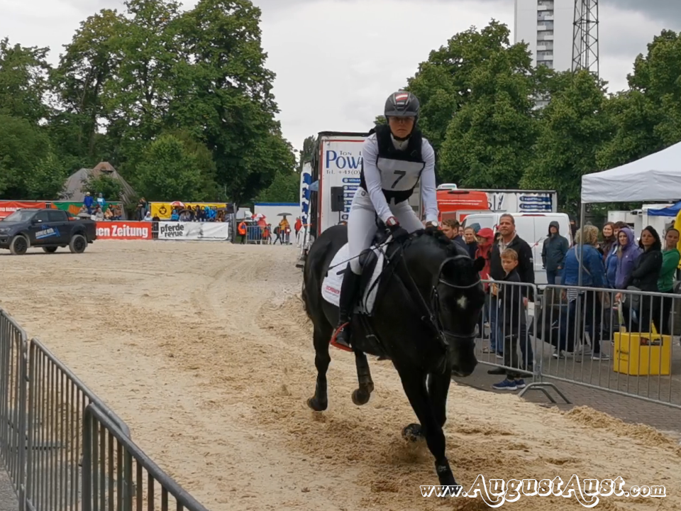 Hallenvielseitigkeit Pferd Wels. Foto: August Aust Hallenvielseitigkeit Pferd Wels. Foto: August Aust