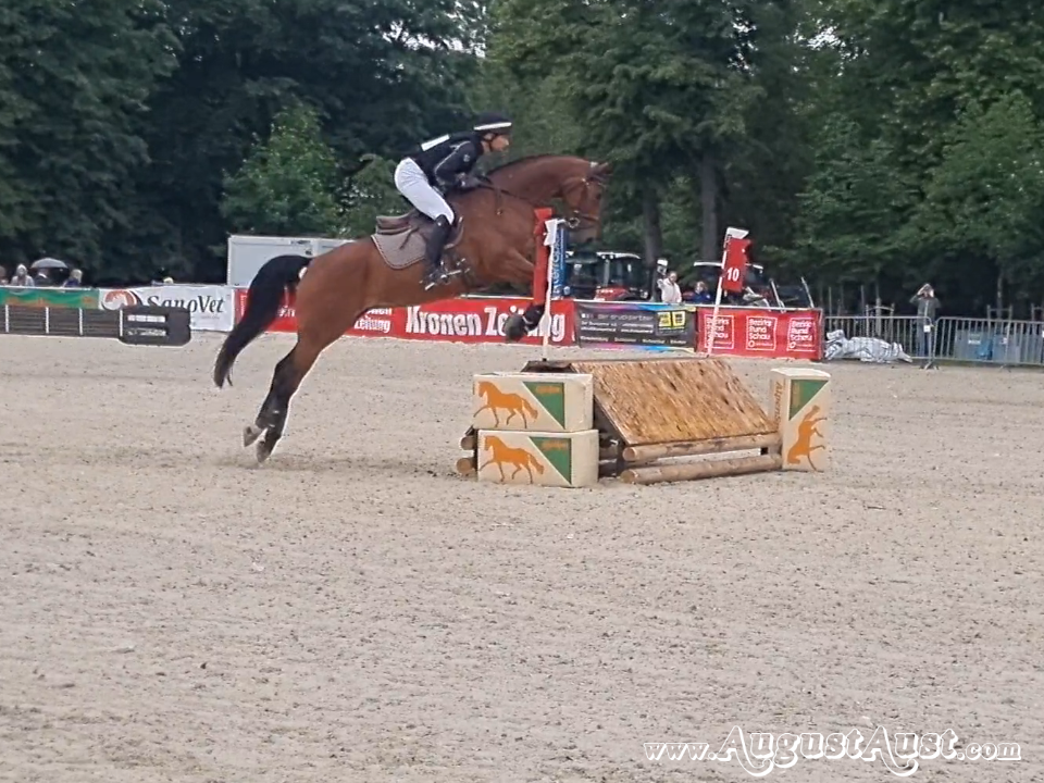 Hallenvielseitigkeit Pferd Wels. Foto: August Aust Hallenvielseitigkeit Pferd Wels. Foto: August Aust