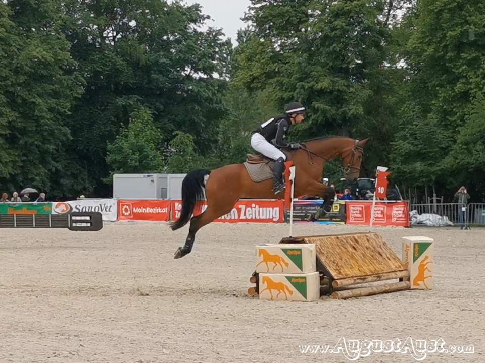 Hallenvielseitigkeit Pferd Wels. Foto: August Aust Hallenvielseitigkeit Pferd Wels. Foto: August Aust