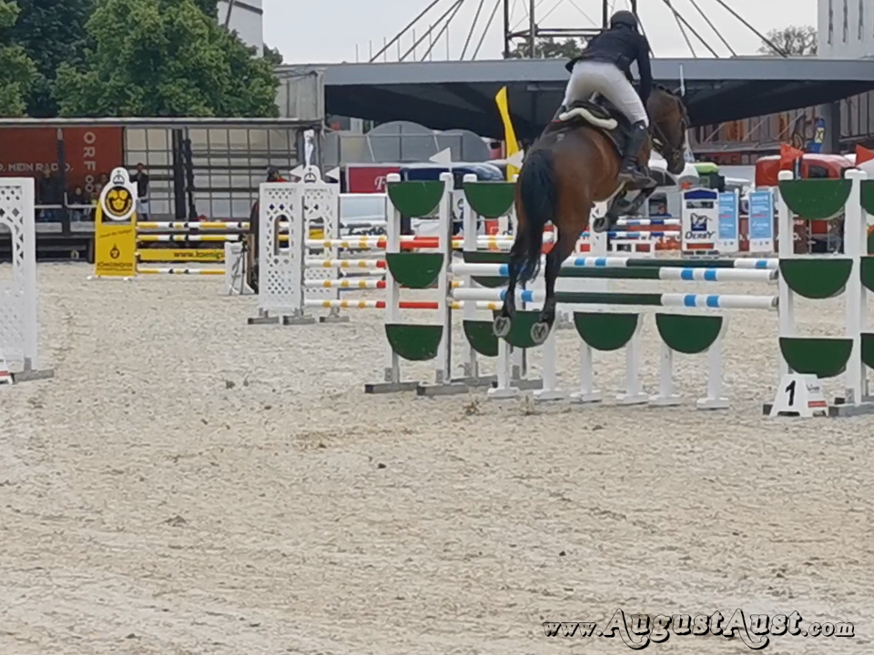 Nationales Springturnier, Pferd Wels. Foto: August Aust Nationales Springturnier, Pferd Wels. Foto: August Aust