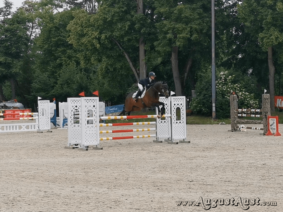 Nationales Springturnier, Pferd Wels. Foto: August Aust Nationales Springturnier, Pferd Wels. Foto: August Aust