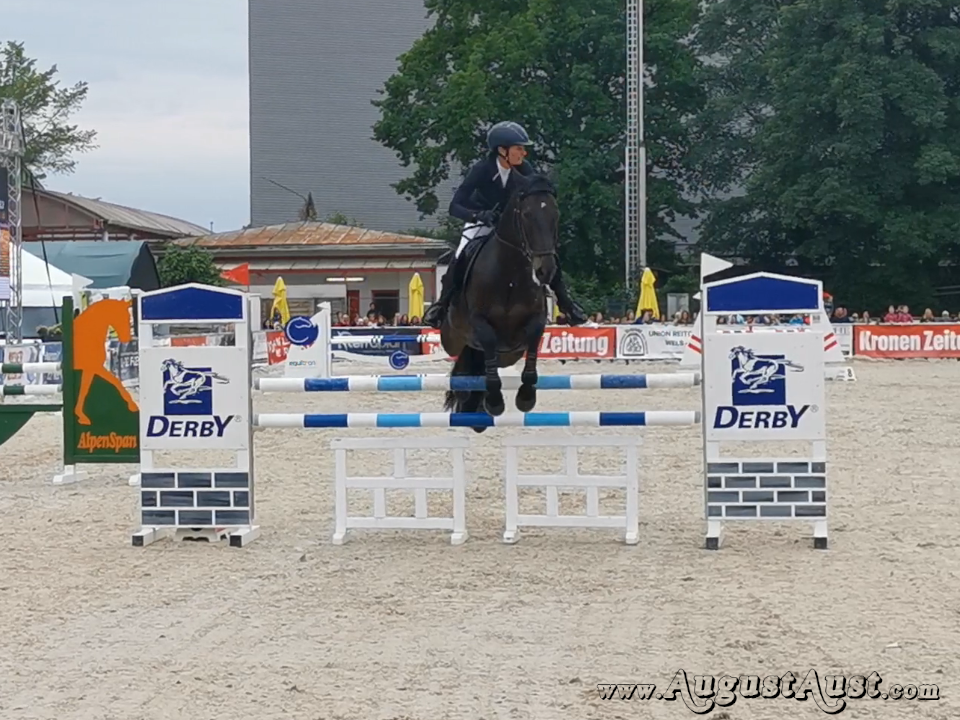 Nationales Springturnier, Pferd Wels. Foto: August Aust Nationales Springturnier, Pferd Wels. Foto: August Aust