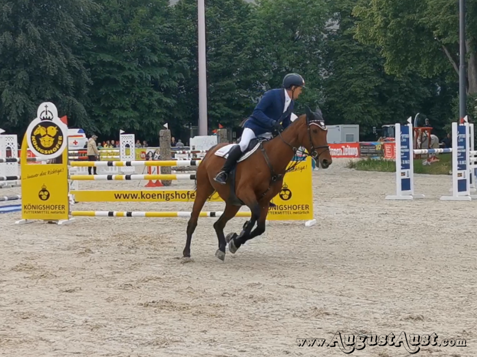 Nationales Springturnier, Pferd Wels. Foto: August Aust Nationales Springturnier, Pferd Wels. Foto: August Aust