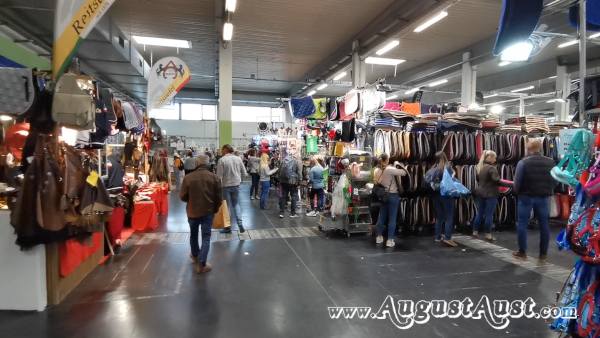 Pferd Wels. Foto: August Aust Pferd Wels. Foto: August Aust