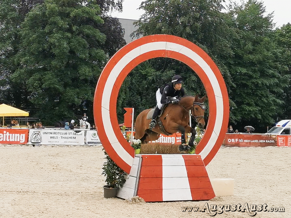 One-Day-Hallenvielseitigkeit. Foto August Aust One-Day-Hallenvielseitigkeit. Foto August Aust