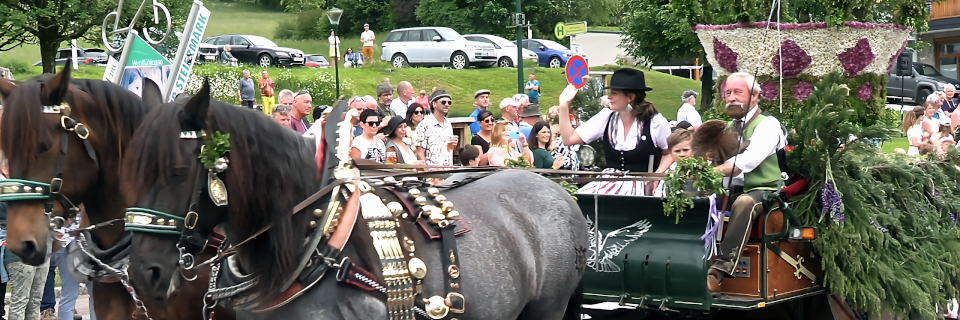 36. Frühlingsfest der Pferde. Foto: August Aust 36. Frühlingsfest der Pferde. Foto: August Aust