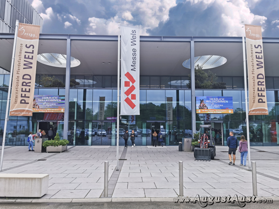 Eingang Pferd Wels. Foto: August Aust Eingang Pferd Wels. Foto: August Aust