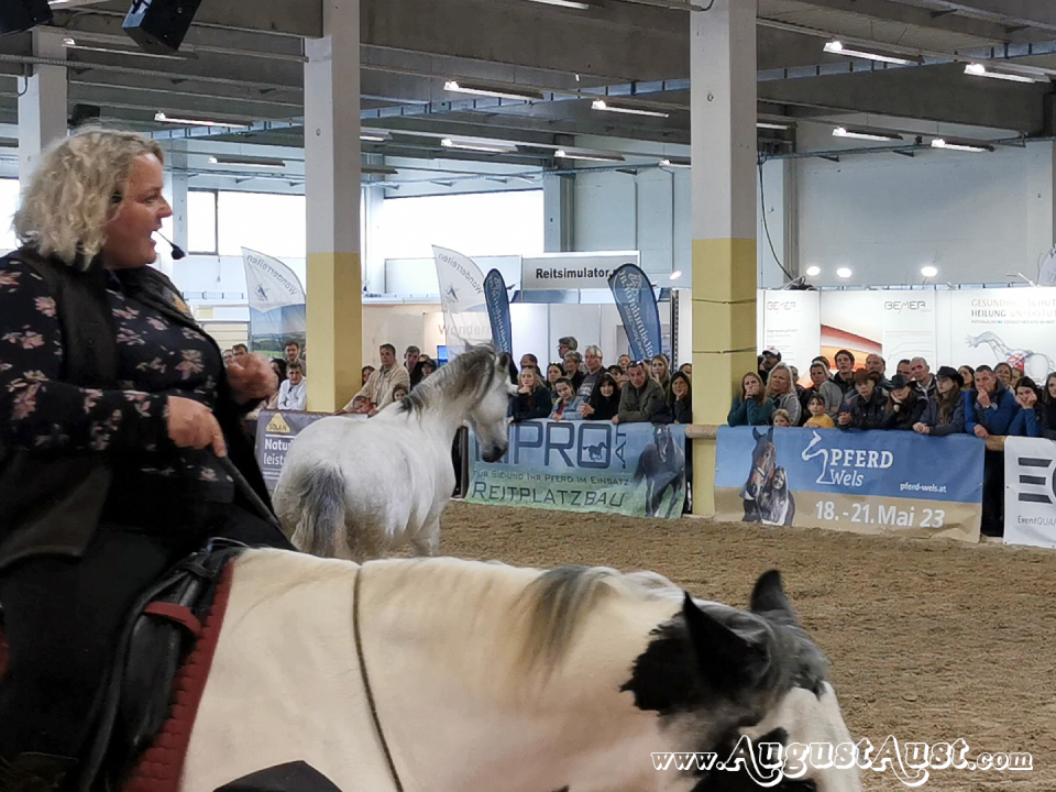 Pferde Expertenforum Aktivgymnastik mit Adrienne Tomkinson. Foto: August Aust