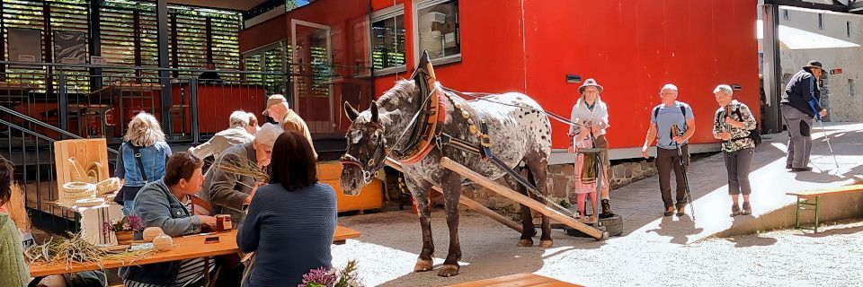 Oafoch kema & doa. Reinsberg Kulturdorf. Foto: August Aust Oafoch kema & doa. Reinsberg Kulturdorf. Foto: August Aust