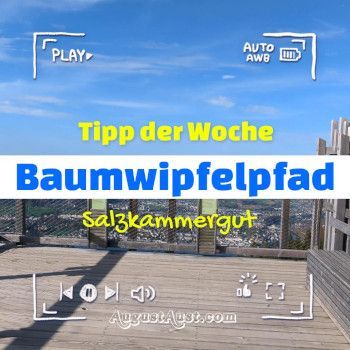 Baumwipfelpfad Salzkammergut. Foto: August Aust Baumwipfelpfad Salzkammergut. Foto: August Aust