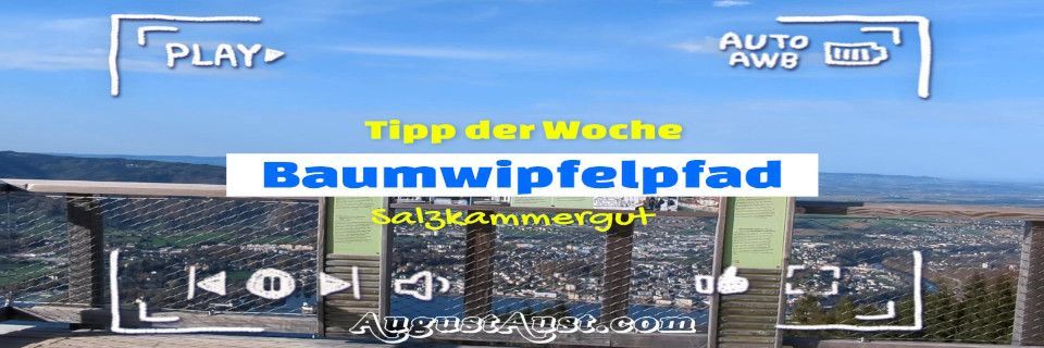 Baumwipfelpfad Salzkammergut Baumwipfelpfad Salzkammergut