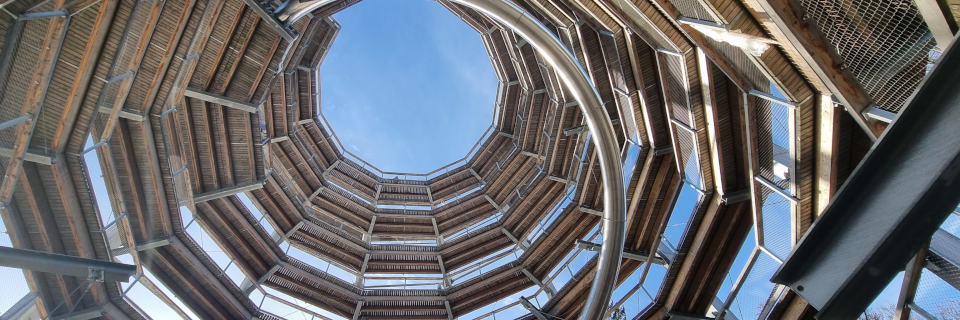 Baumwipfelpfad Salzkammergut. Foto: August Aust Baumwipfelpfad Salzkammergut. Foto: August Aust