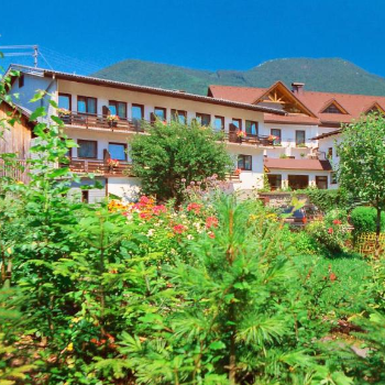 Alpenpension Birkenhof in Grünau im Almtal Alpenpension Birkenhof in Grünau im Almtal