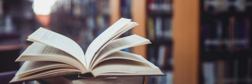 Buchtipps - Bücher und Autoren Buchtipps - Bücher und Autoren