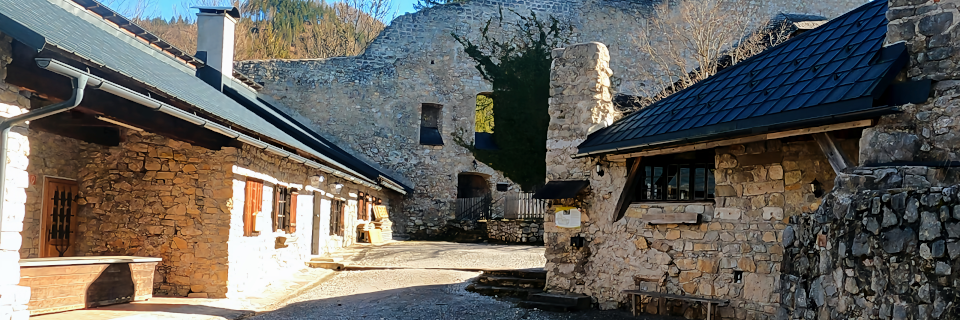 Burgruine Gallenstein. Foto: August Aust Burgruine Gallenstein. Foto: August Aust