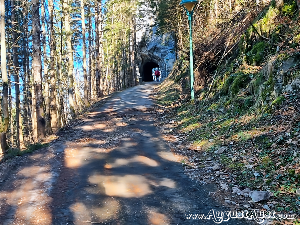 Burgruine Gallenstein in der Steiermark. Foto: August Aust Burgruine Gallenstein in der Steiermark. Foto: August Aust