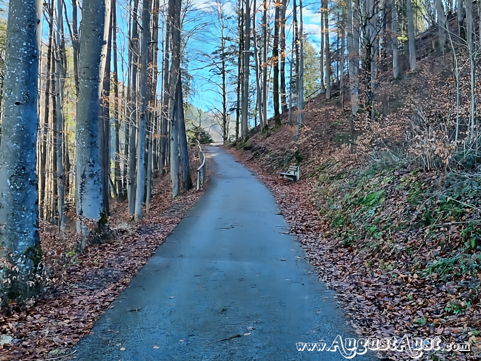 Burgruine Gallenstein in der Steiermark. Foto: August Aust Burgruine Gallenstein in der Steiermark. Foto: August Aust
