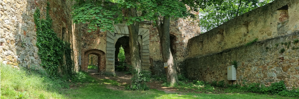 Burgruine Landsee. Foto: August Aust Burgruine Landsee. Foto: August Aust