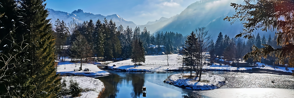 Cumberland Wildpark Grünau. Foto: August Aust Cumberland Wildpark Grünau. Foto: August Aust