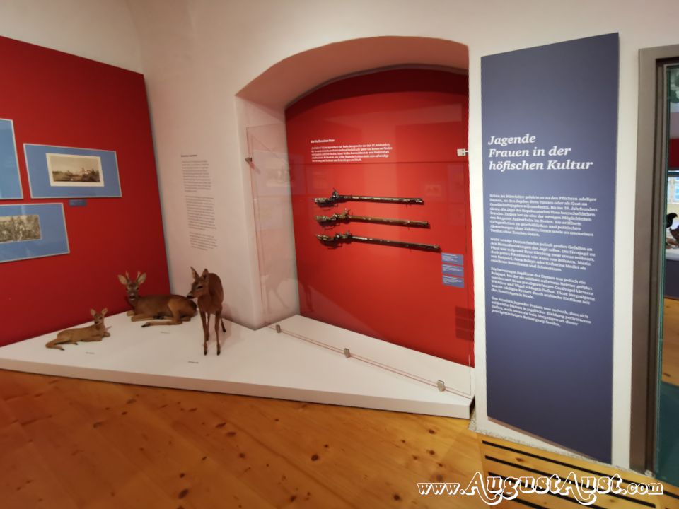 Radschlossgewehre 17. Jahrhundert. Foto August Aust Radschlossgewehre 17. Jahrhundert. Foto August Aust