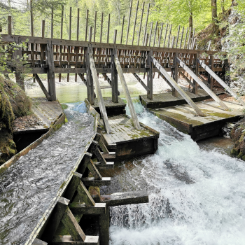 Erlebniswelt Mendlingtal, Themenweg. Foto: August Aust Erlebniswelt Mendlingtal, Themenweg. Foto: August Aust