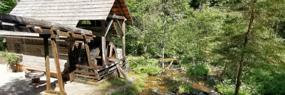 Erlebniswelt Mendlingtal. Foto: August Aust Erlebniswelt Mendlingtal. Foto: August Aust