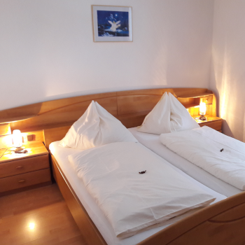 Ferienwohnungen Kupfer. Göstling an der Ybbs Ferienwohnungen Kupfer. Göstling an der Ybbs