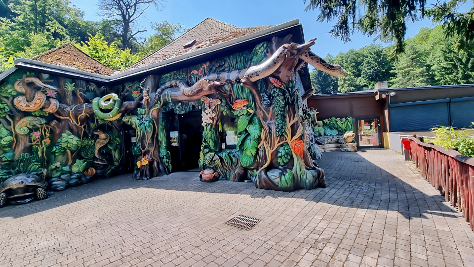 Reptilienzoo Forchtenstein. Foto: August Aust Reptilienzoo Forchtenstein. Foto: August Aust